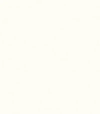 melamini Egger W1000 ST19 Premium White