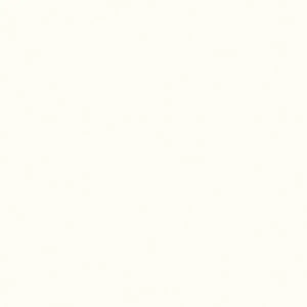 melamini Egger W1000 ST19 Premium White