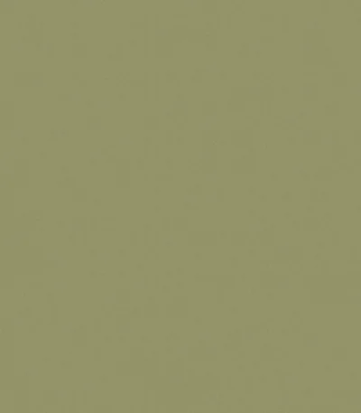 melamini Swiss Krono U4439 VL Pistachio Green