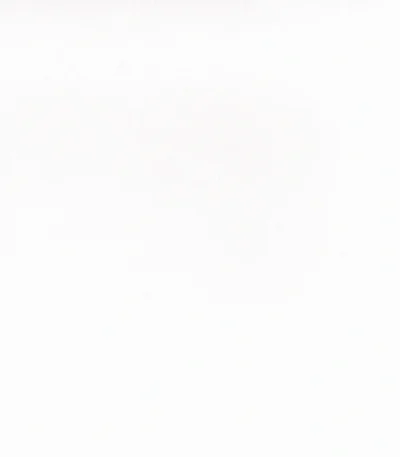 melamini Swiss Krono U8681 VL White Alaska