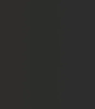 pet vario 429 mat fume pet super mat