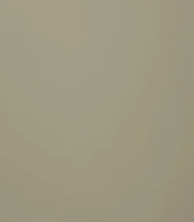 pet vario 538 mat sand beige pet super mat