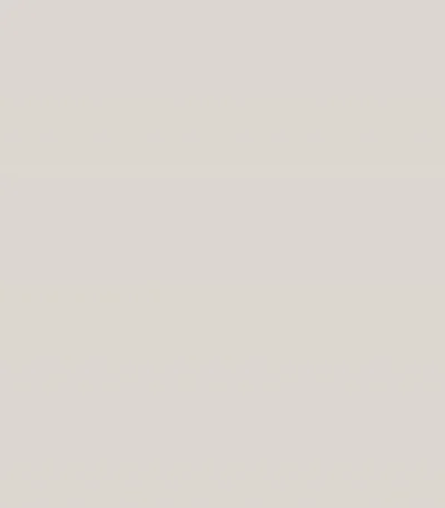 pet vario 88a mat light grey pet super mat